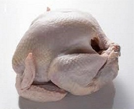 Large Free Range White Turkey