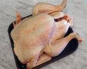 Small Free Range Bronze Turkey